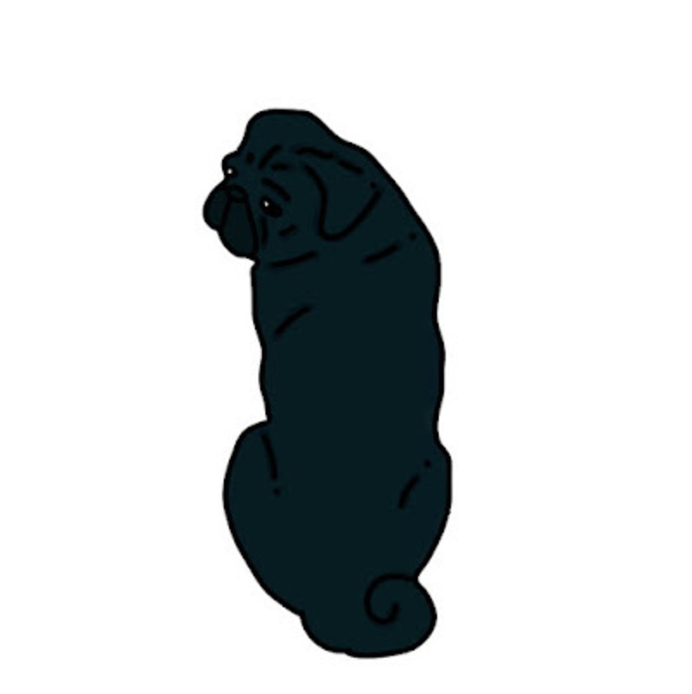 Meet your Posher, Chubbz